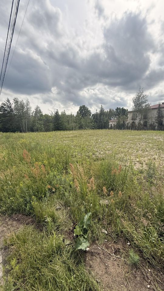 Działka inwestycyjna Budziska, Sarnia. Zdjęcie 1