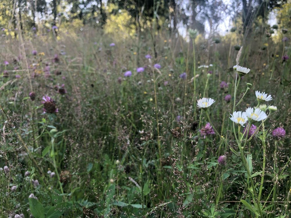 Działka budowlana Koszalin, ul. Lubiatowska. Zdjęcie 7