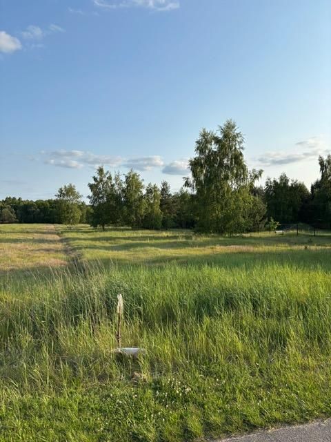 Działka rekreacyjna Krasice. Zdjęcie 6