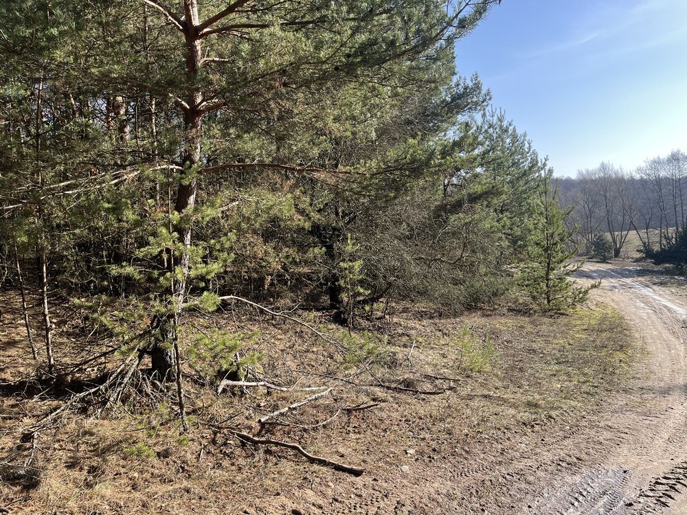 Działka inna Cychrowska Wola. Zdjęcie 4