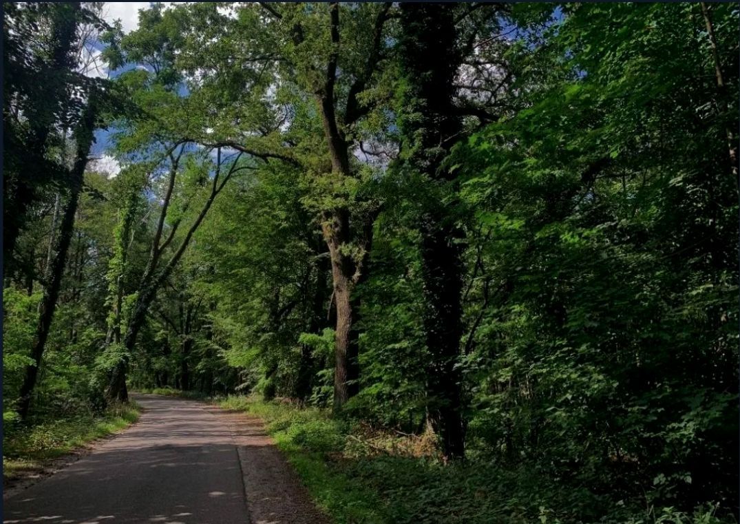 Działka budowlana Świbinki. Zdjęcie 3