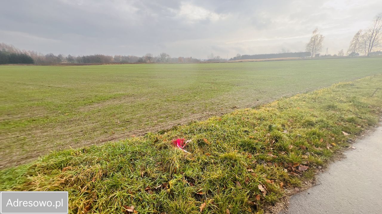 Działka rolno-budowlana Dorohusk-Osada, ul. Wierzbowa. Zdjęcie 6