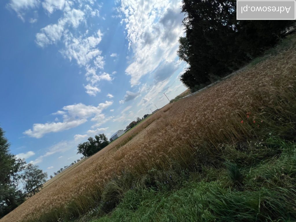 gospodarstwo, 4 pokoje Sampława. Zdjęcie 6