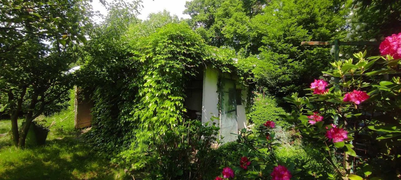 Działka rod Bolesławiec