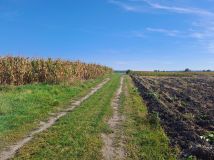 Działka inwestycyjna Depułtycze Królewskie-Kolonia. Zdjęcie 4