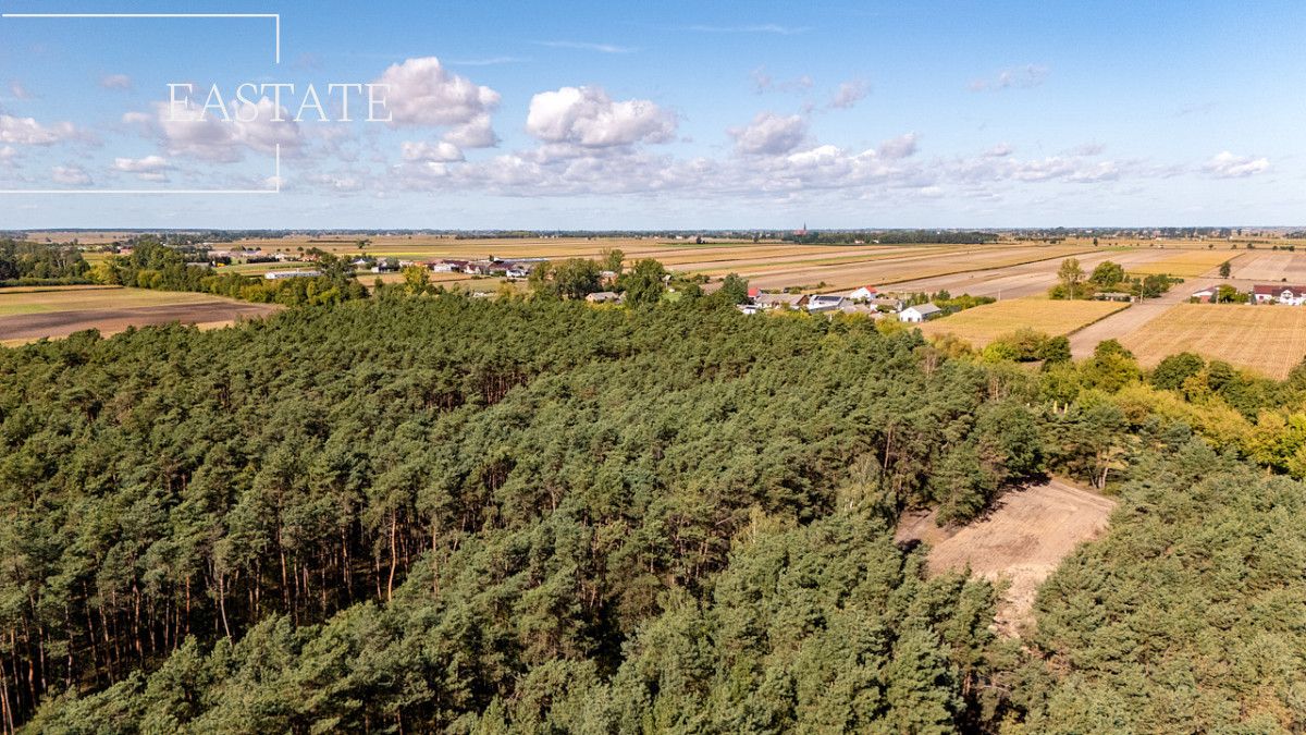 Działka leśna Maurzyce. Zdjęcie 4