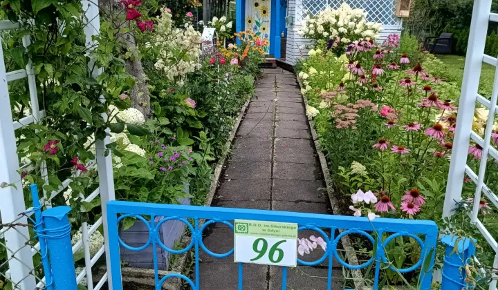 Działka rod Gdynia Chylonia, ul. Hutnicza