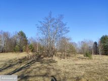 Działka rolna Ełganowo, ul. Świerkowa. Zdjęcie 3