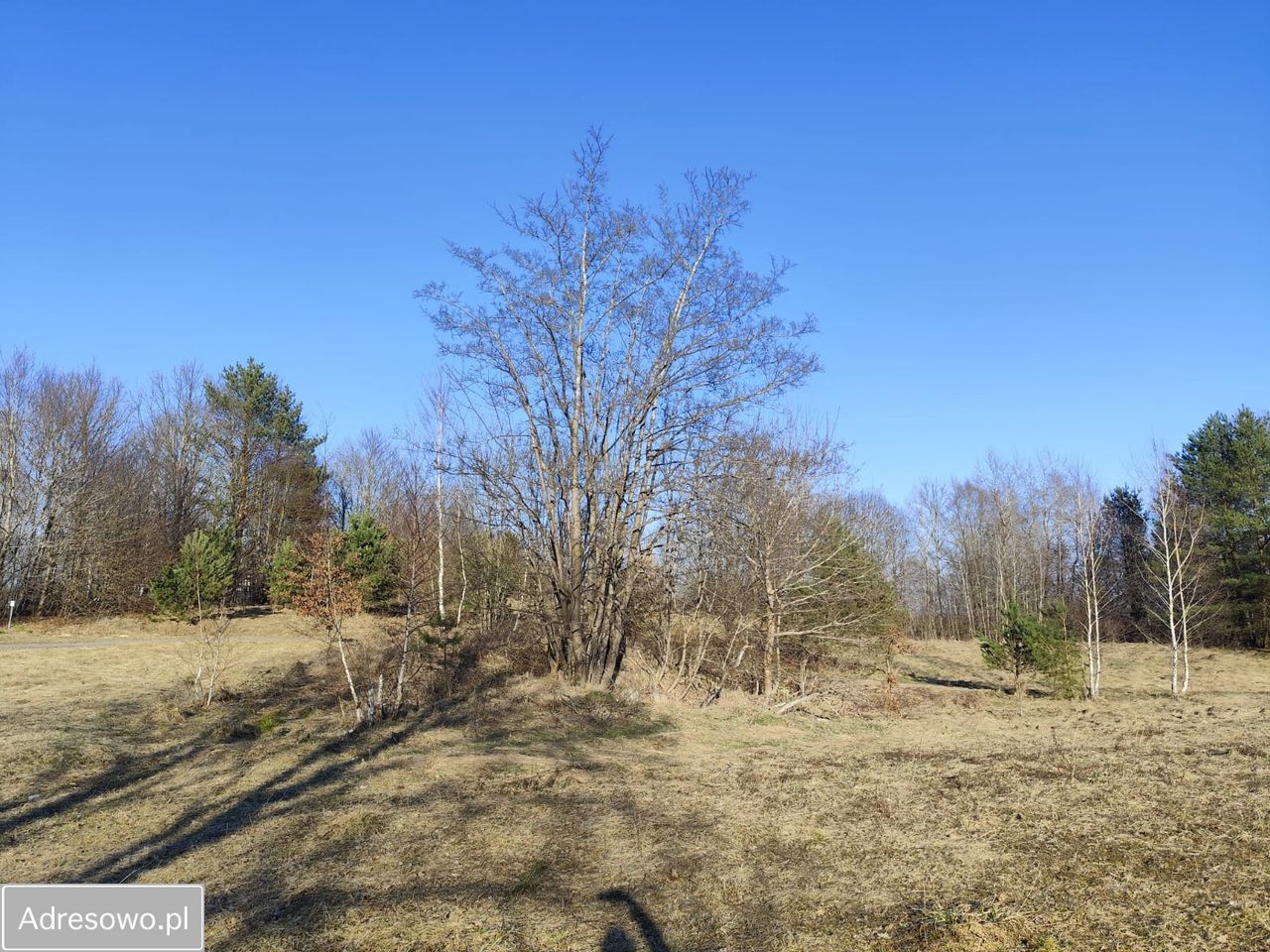 Działka rolna Ełganowo, ul. Świerkowa. Zdjęcie 4