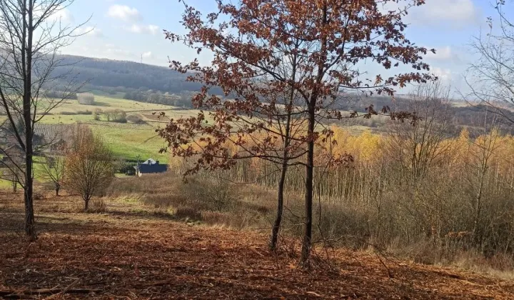 Działka budowlana Łęki Strzyżowskie