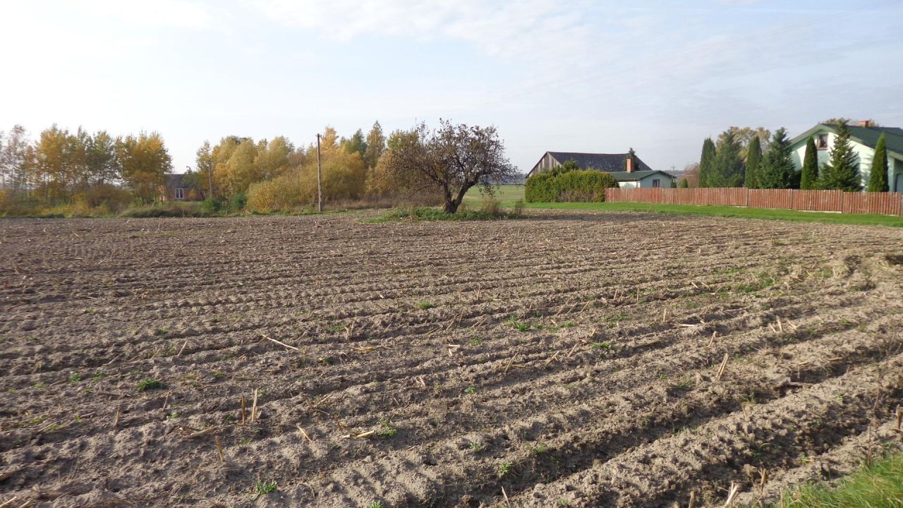 Działka rolno-budowlana Teremiec. Zdjęcie 10