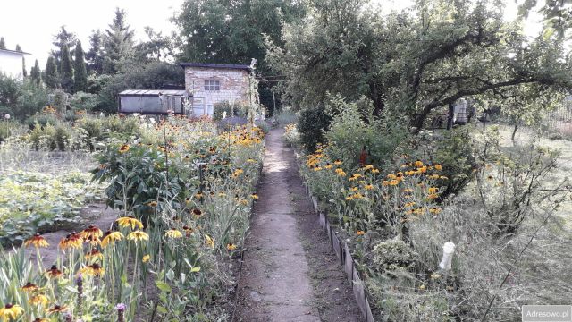 Działka rekreacyjna Chełmno. Zdjęcie 1