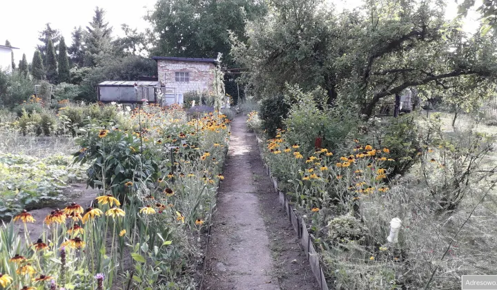 Działka rod Chełmno