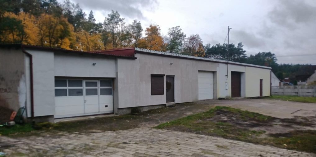 Hala/magazyn Dzierżążno Wielkie. Zdjęcie 2