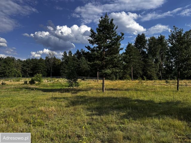 Działka rolno-budowlana Spychowo. Zdjęcie 1