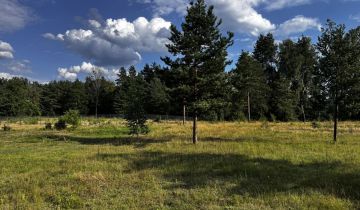 Działka rolno-budowlana Spychowo