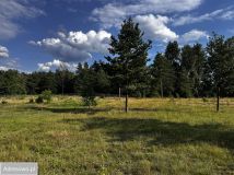 Działka rolno-budowlana Spychowo