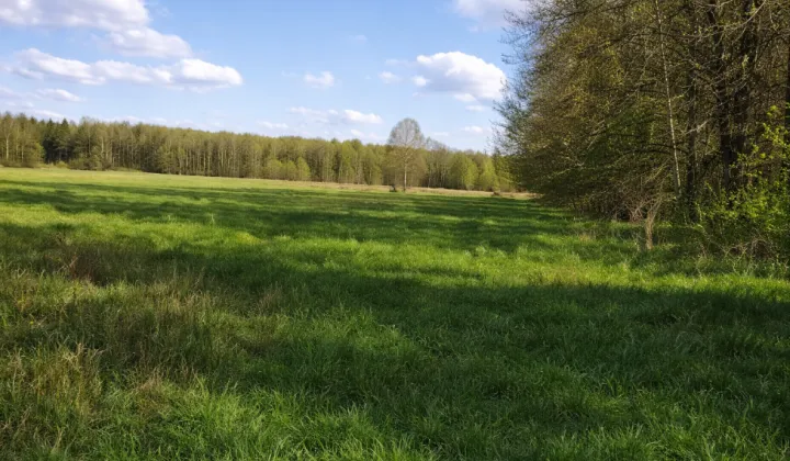 Działka rolna Gruszki