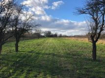 Działka rolno-budowlana Worów. Zdjęcie 3