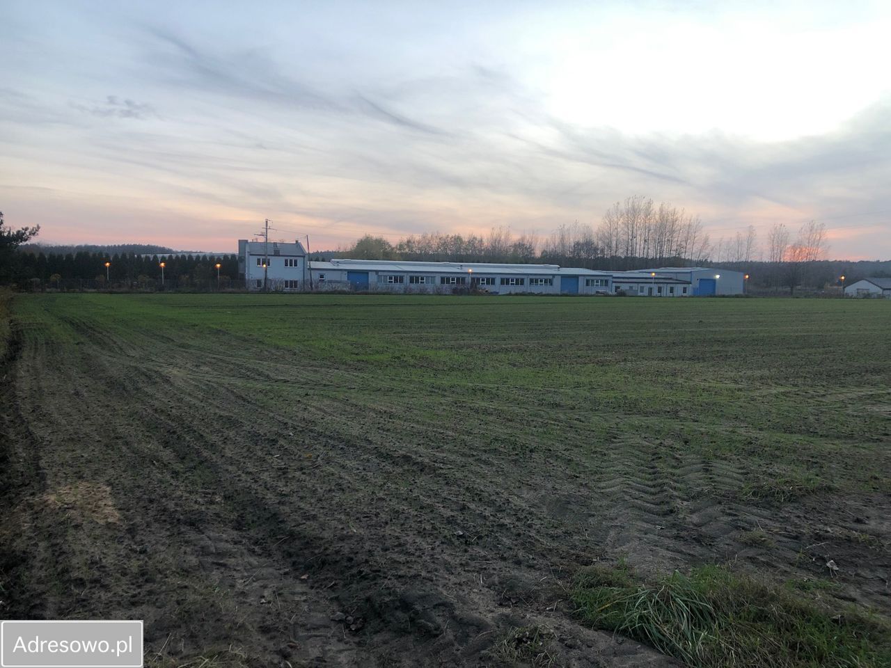 Działka inwestycyjna Tworóg, ul. Polna. Zdjęcie 8