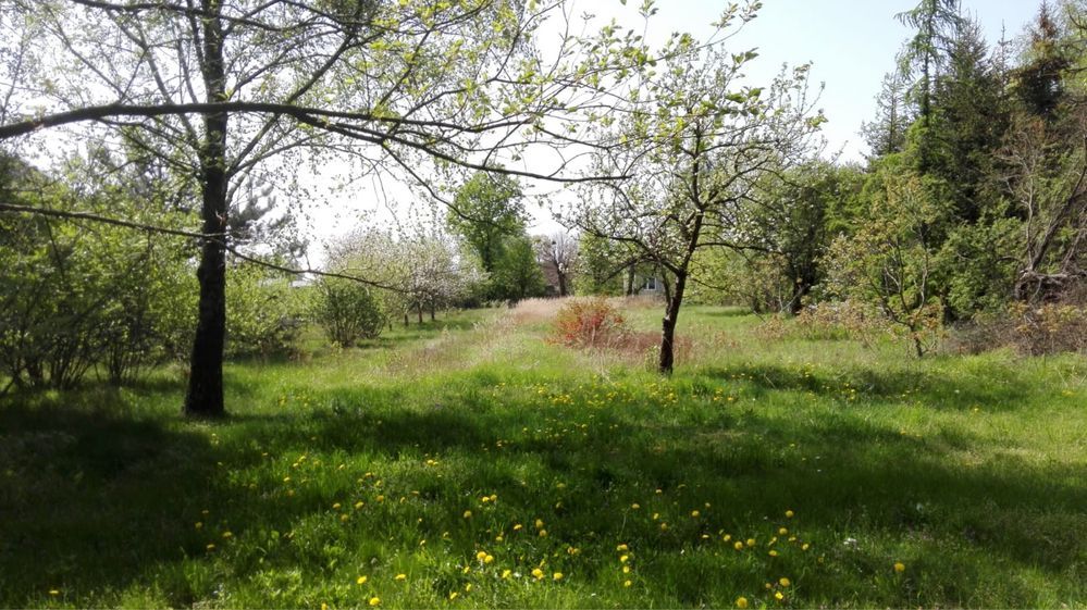 Działka siedliskowa Dołhobrody. Zdjęcie 6