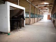 Nieruchomość komercyjna Sady. Zdjęcie 3