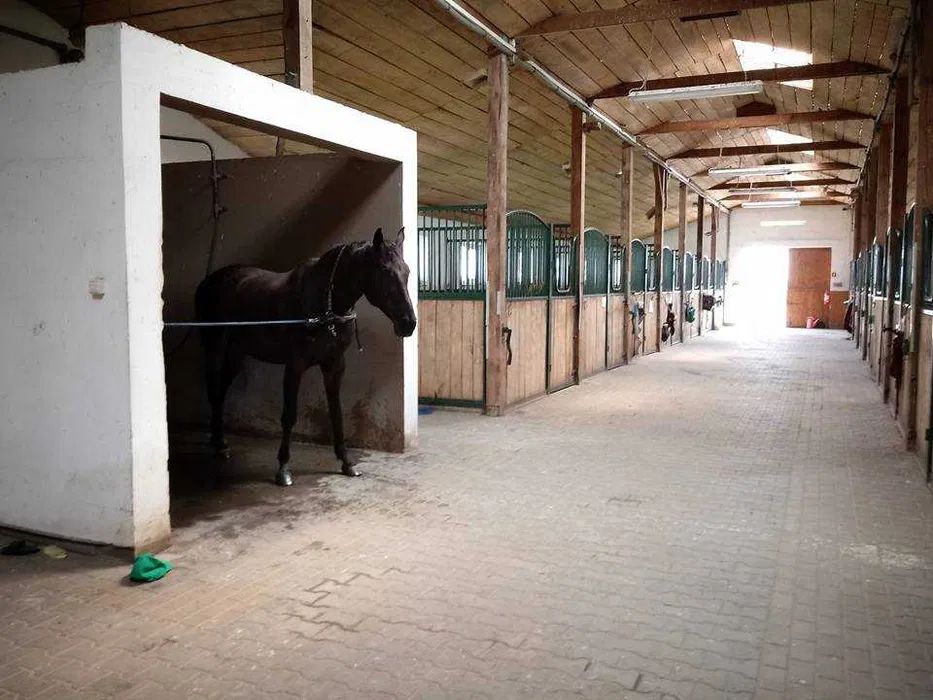 Nieruchomość komercyjna Sady. Zdjęcie 4