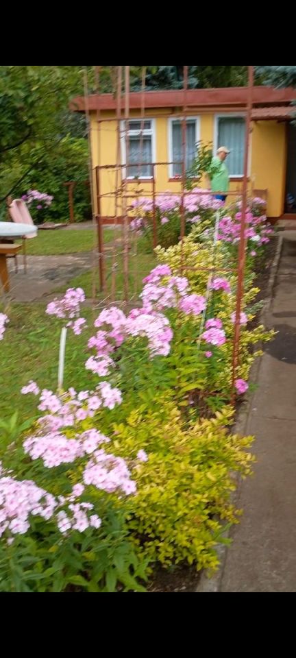 Działka rod Łódź Retkinia, ul. ks. Jerzego Popiełuszki. Zdjęcie 7