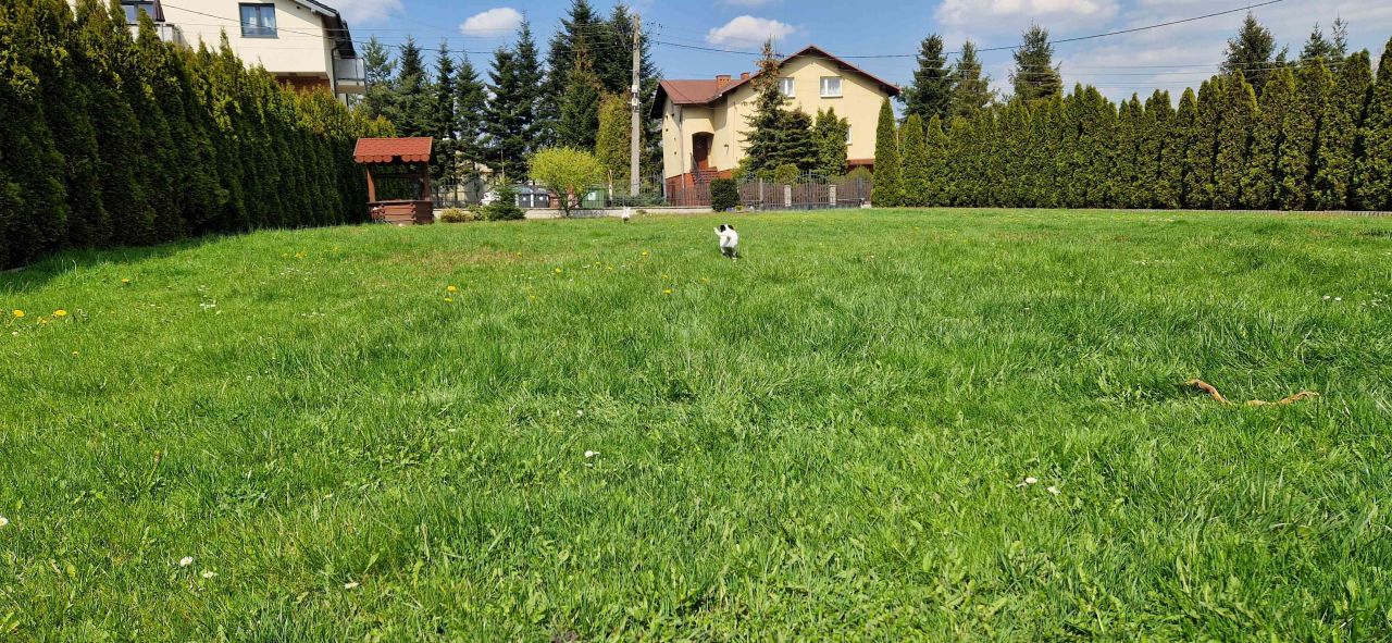 Działka inwestycyjna Rybnik Smolna, ul. Zamysłowska. Zdjęcie 5