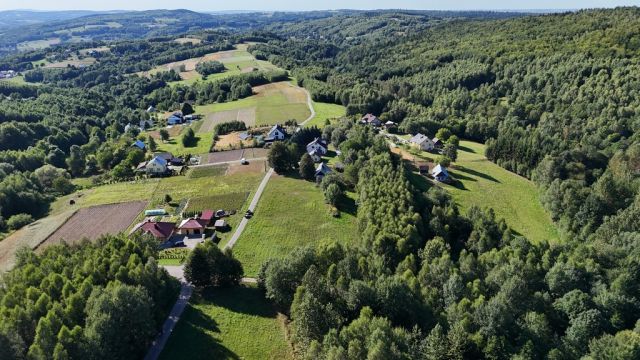 dom wolnostojący, 3 pokoje Gwoźnica Górna. Zdjęcie 4
