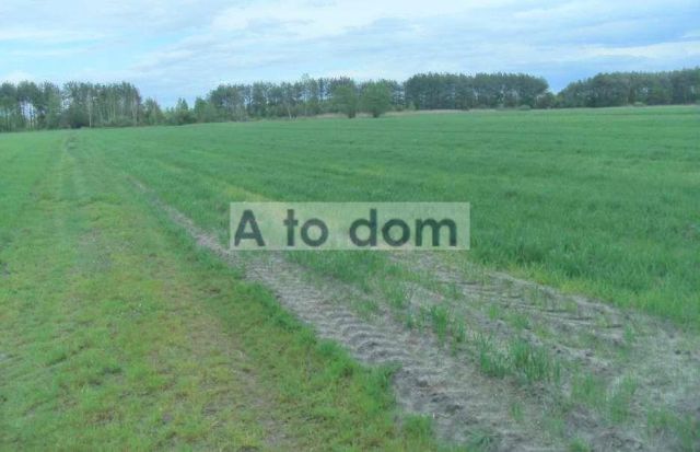 Działka rolna Nadbiel. Zdjęcie 1