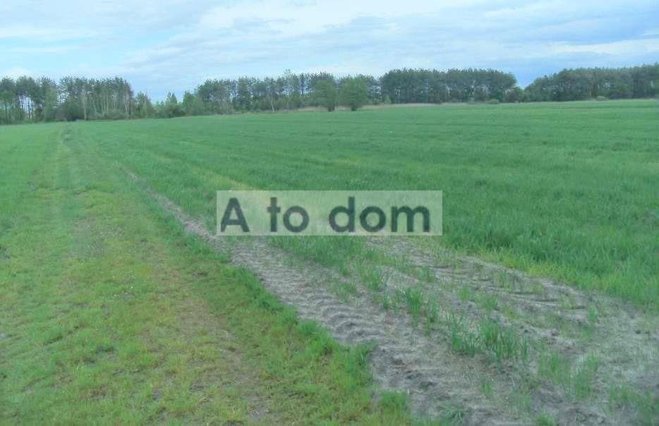 Działka rolna Nadbiel