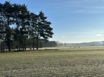 Działka budowlana Jabłonna, ul. Piaskowa. Zdjęcie 4