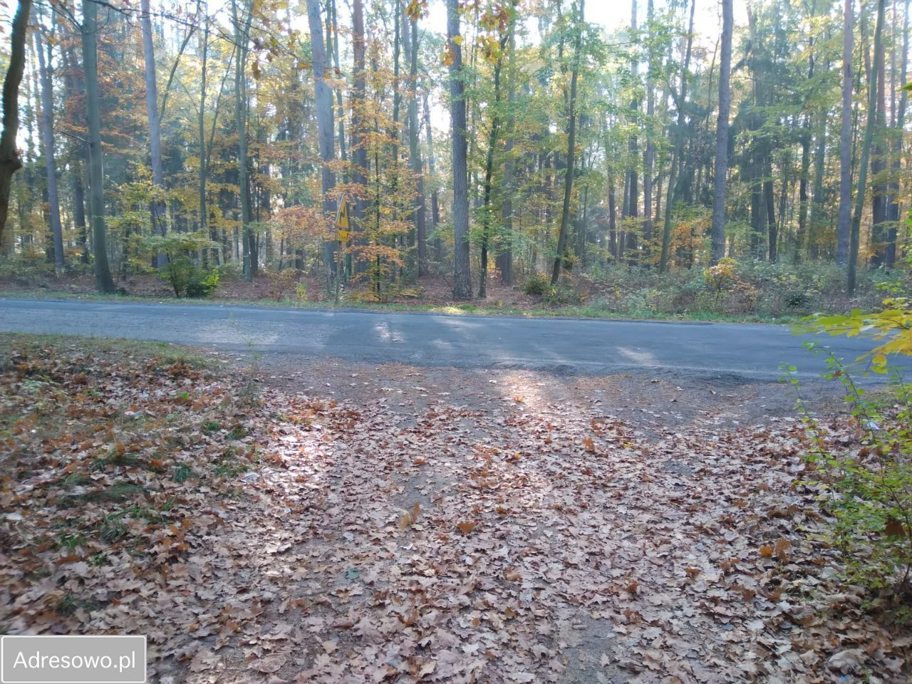 Działka budowlana Nowa Wieś. Zdjęcie 10