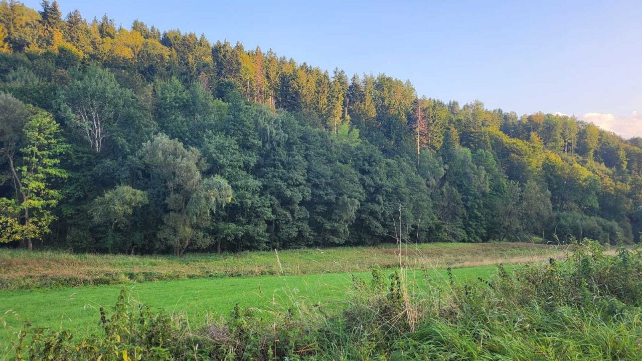 Działka inwestycyjna Lutynia. Zdjęcie 5