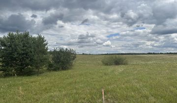 Działka rekreacyjna Dołgie