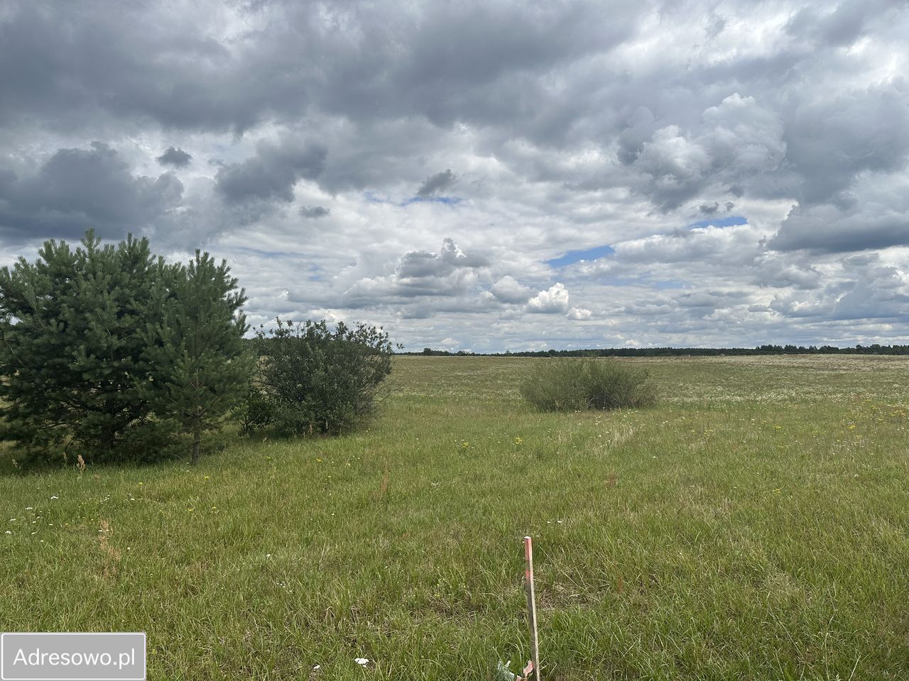 Działka rekreacyjna Dołgie