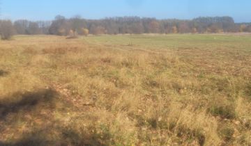 Działka budowlana Nowa Wieś, ul. Wierzbowa