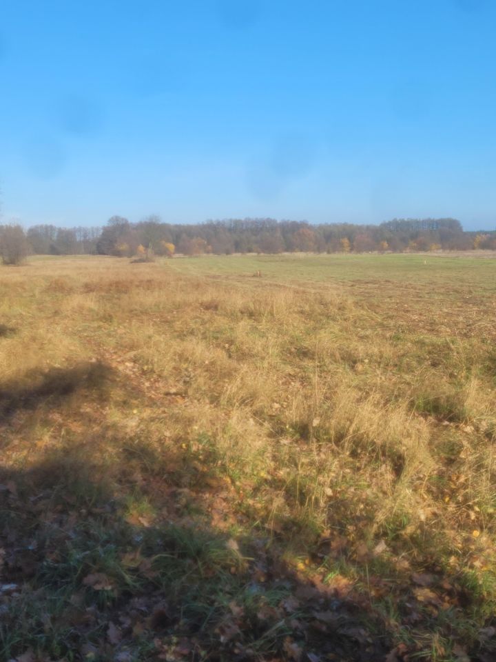 Działka budowlana Nowa Wieś, ul. Wierzbowa. Zdjęcie 2