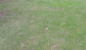 Działka rolna Leśniowice