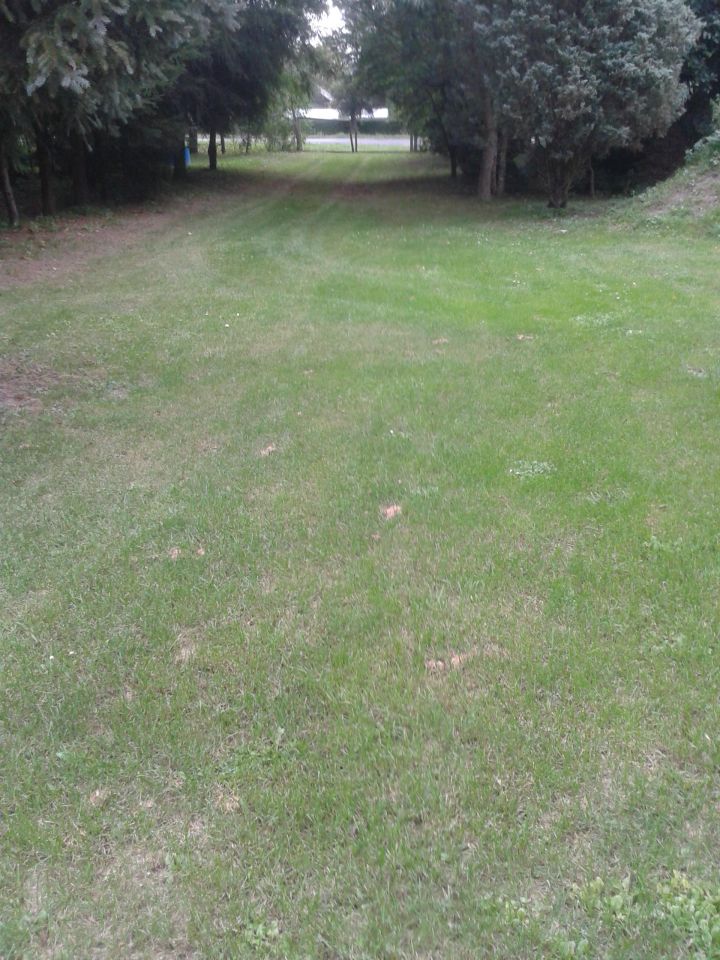 Działka rolna Leśniowice