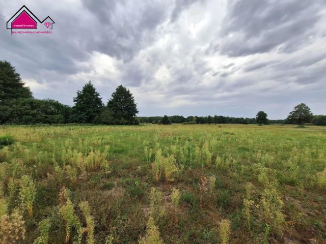 Działka rolna Wilcza Kłoda. Zdjęcie 4