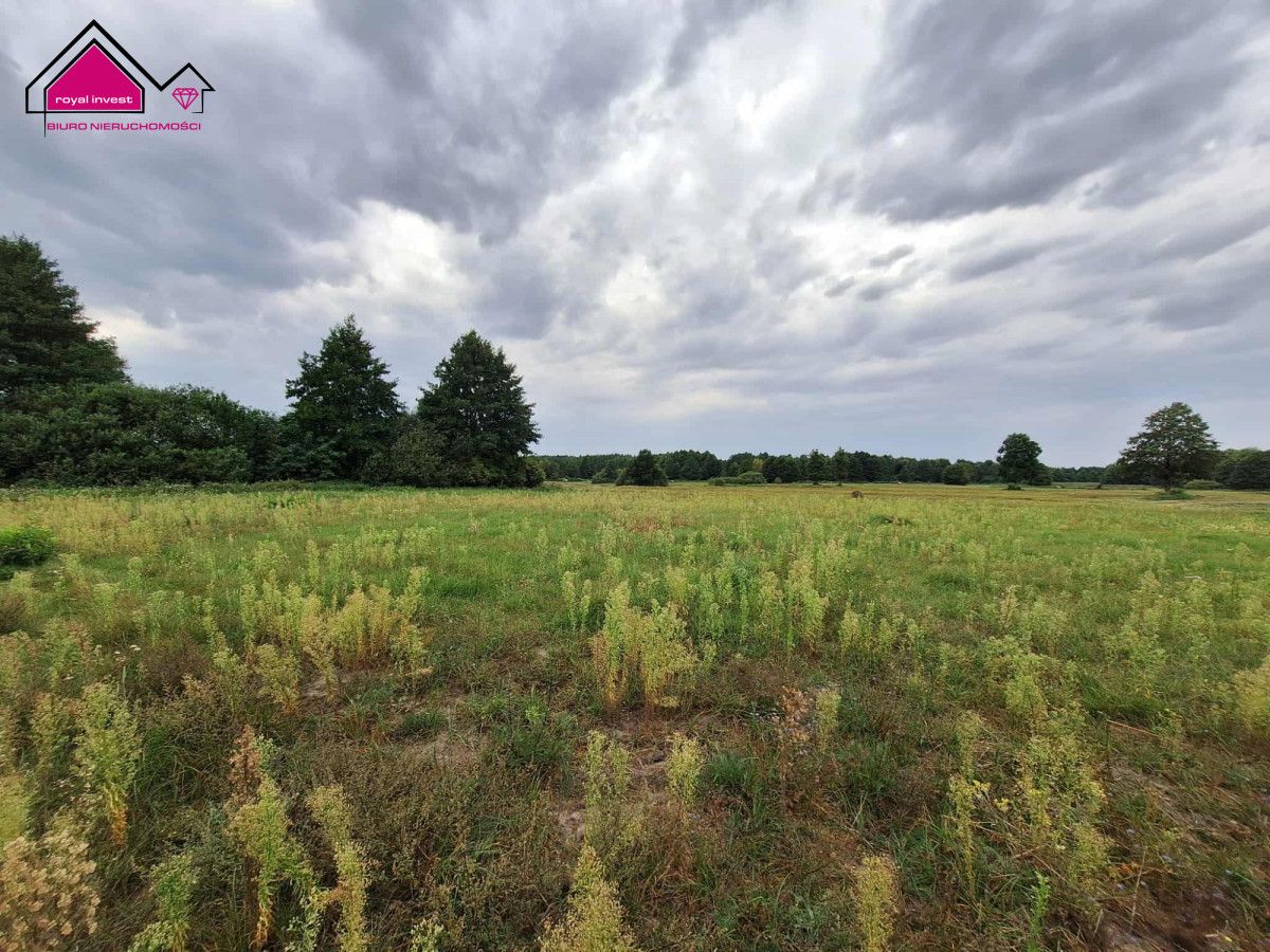 Działka rolna Wilcza Kłoda. Zdjęcie 4