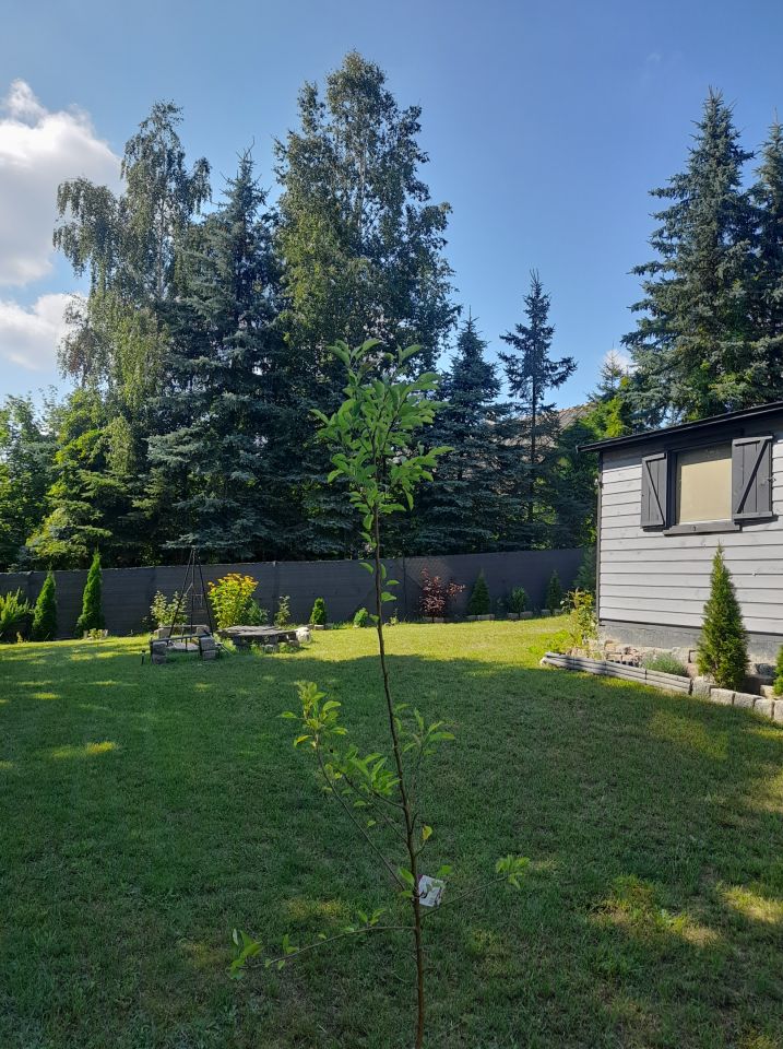 Działka rekreacyjna Morawy Albertowo. Zdjęcie 5