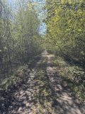 Działka rolna Parszów, ul. Złotoglin. Zdjęcie 2