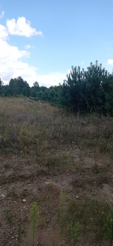 Działka budowlana Piława. Zdjęcie 7