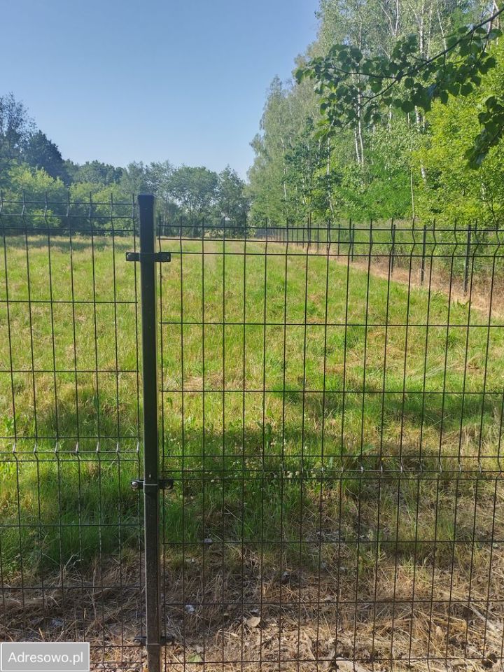 Działka siedliskowa Łysa Góra. Zdjęcie 5