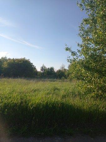 Działka rolno-budowlana Jackowo Dworskie. Zdjęcie 4