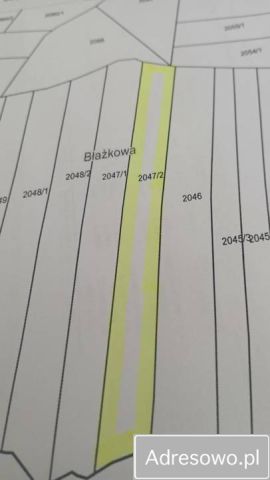 Działka leśna Błażkowa. Zdjęcie 1
