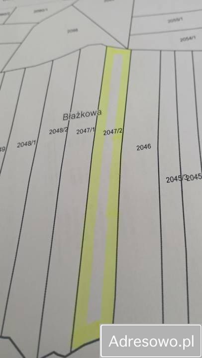 Działka leśna Błażkowa